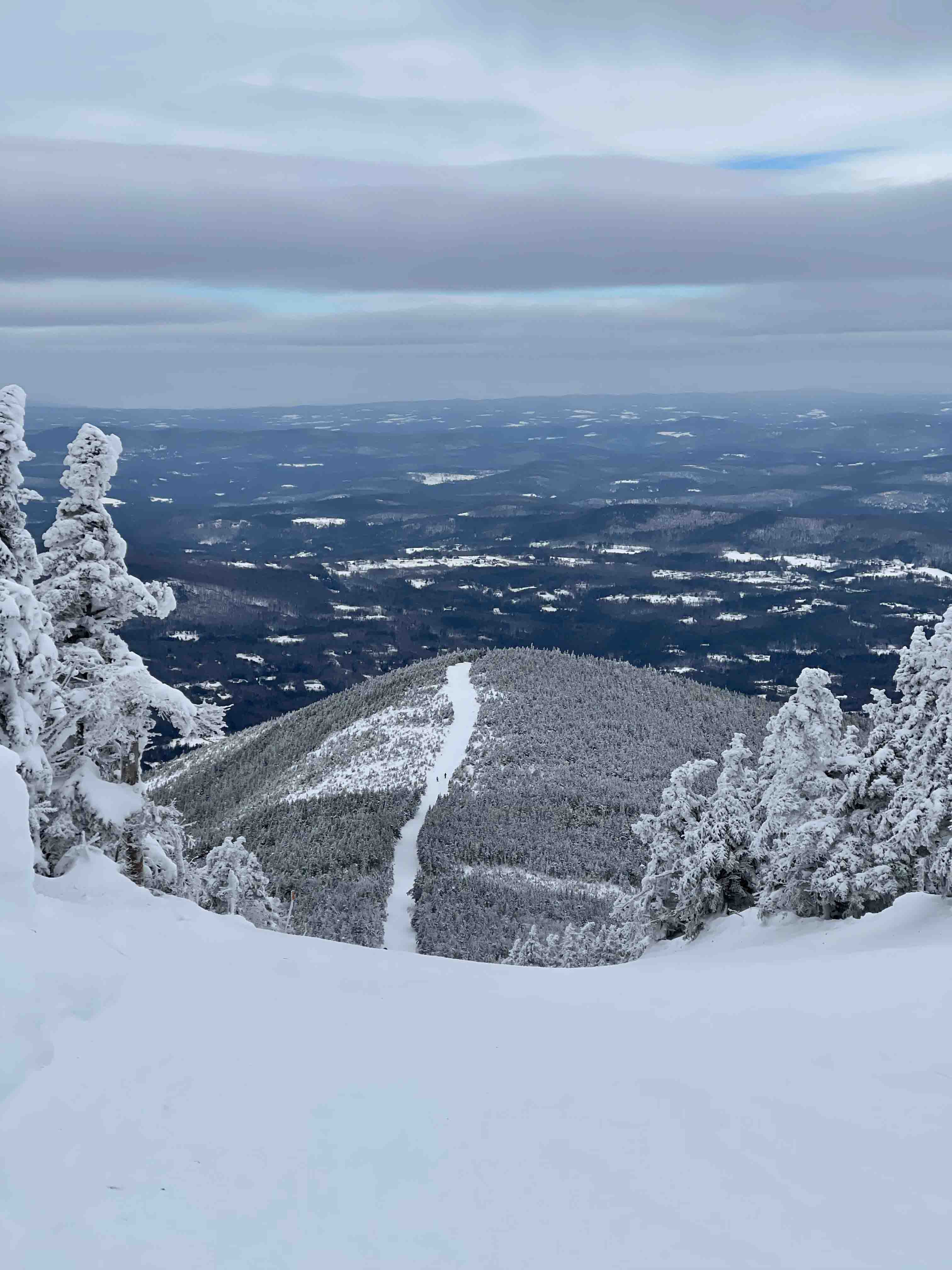The top of a mountain looking down a skytrail covered with snowy trees