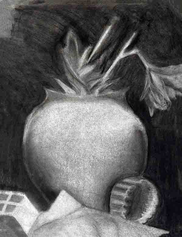 Still life charcoal drawing of a pot with flowers sticking out