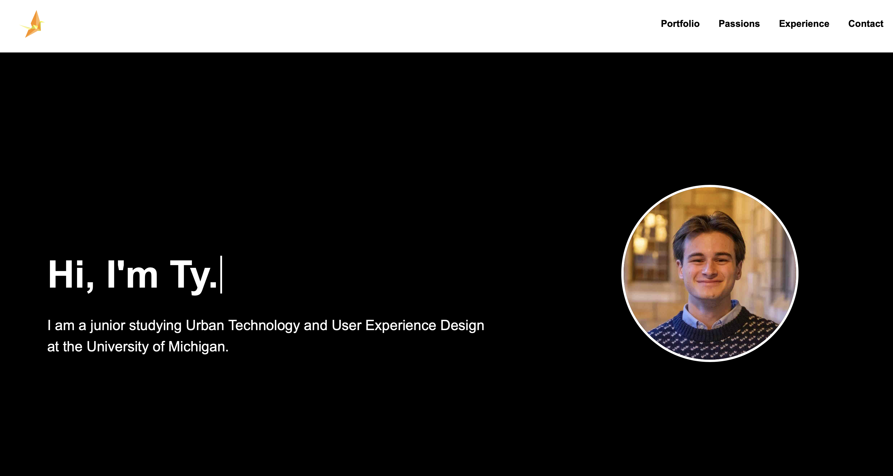 This Website Project